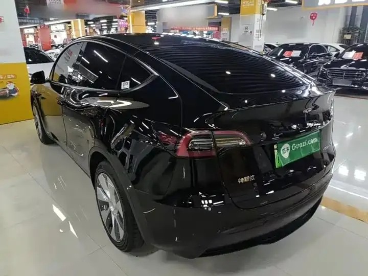 2021 Model Y Standard Range Rear-Wheel Drive Edition 5
