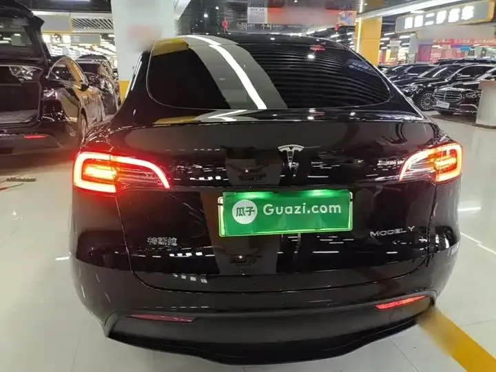 2021 Model Y Standard Range Rear-Wheel Drive Edition 6