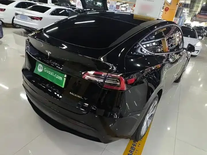 2021 Model Y Standard Range Rear-Wheel Drive Edition 7