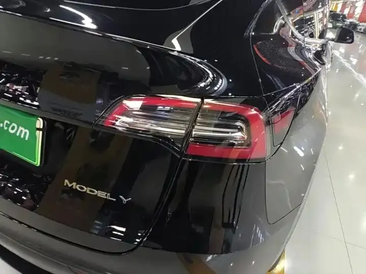 2021 Model Y Standard Range Rear-Wheel Drive Edition 8