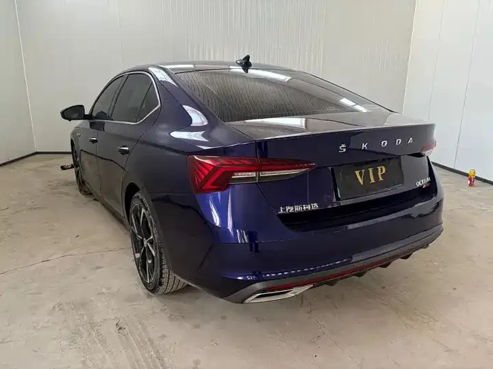 Ming Rui 2022 PRO TSI280 Luxury Edition 4
