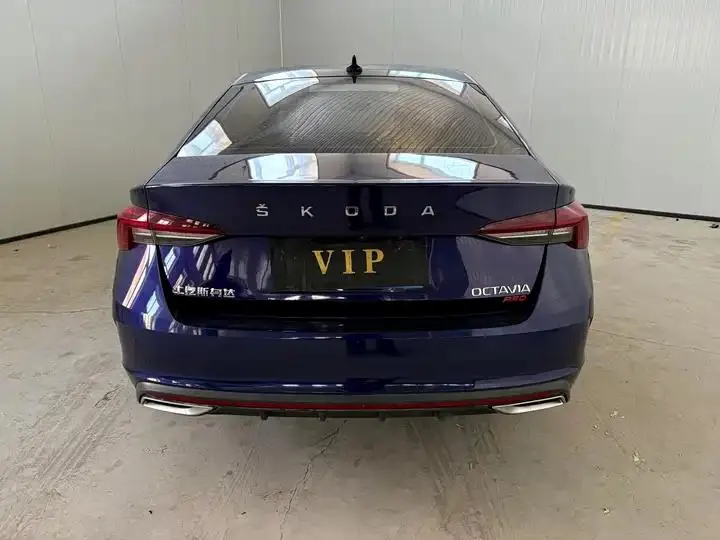 Ming Rui 2022 PRO TSI280 Luxury Edition 5