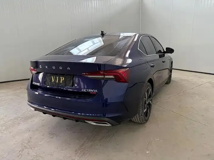 Ming Rui 2022 PRO TSI280 Luxury Edition 6
