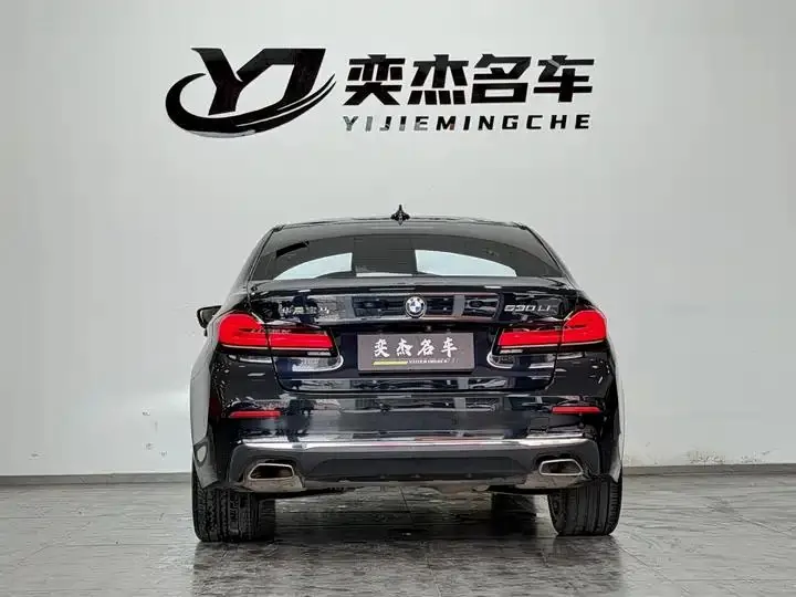 BMW 5 Series 2021 530Li Exclusive M Sports Suit 8