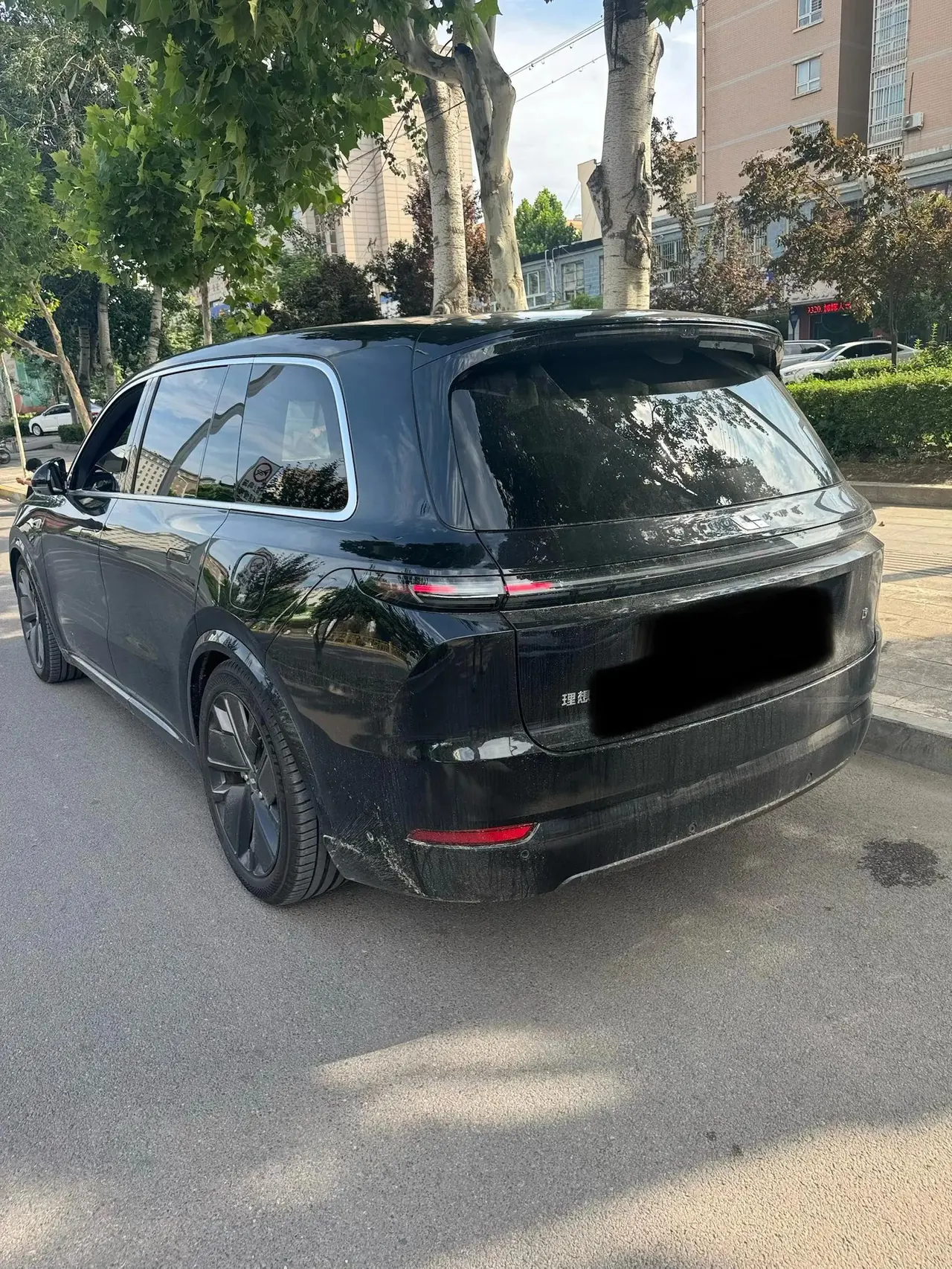 Li L9 2024 Pro 7