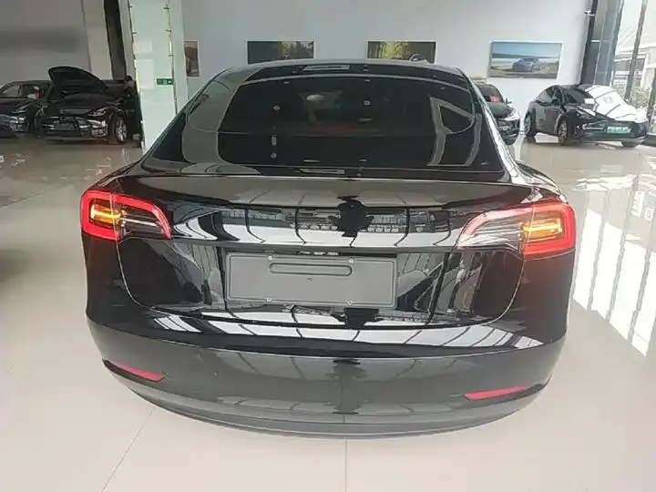 Model 3 2022 rear-wheel drive version 6