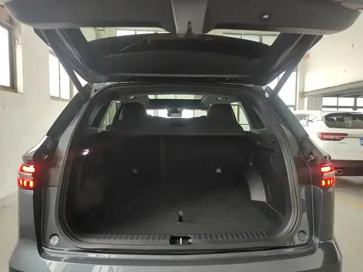 XingyueL (Monjaro) 2021 model 2.0TD DCT EVO two-wheel-drive Intelligent Supreme Edition 19