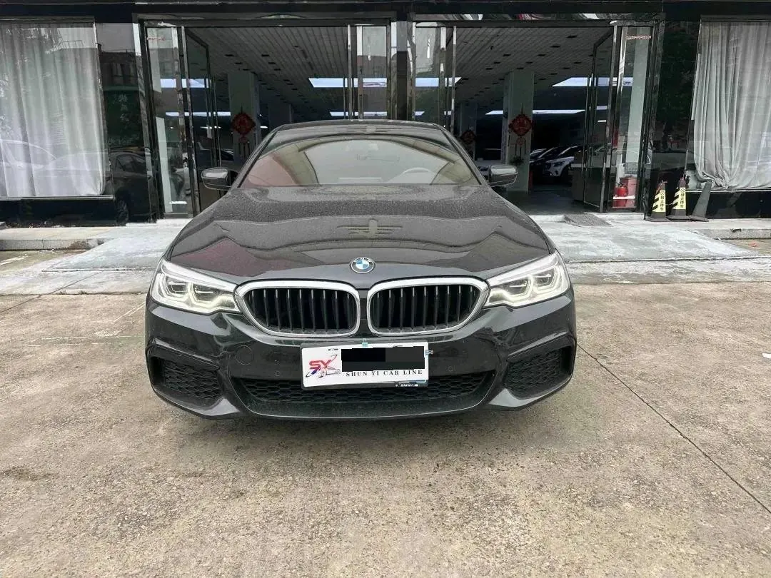 BMW 5 Series 2020 530Li Leading M Sports Suit 2
