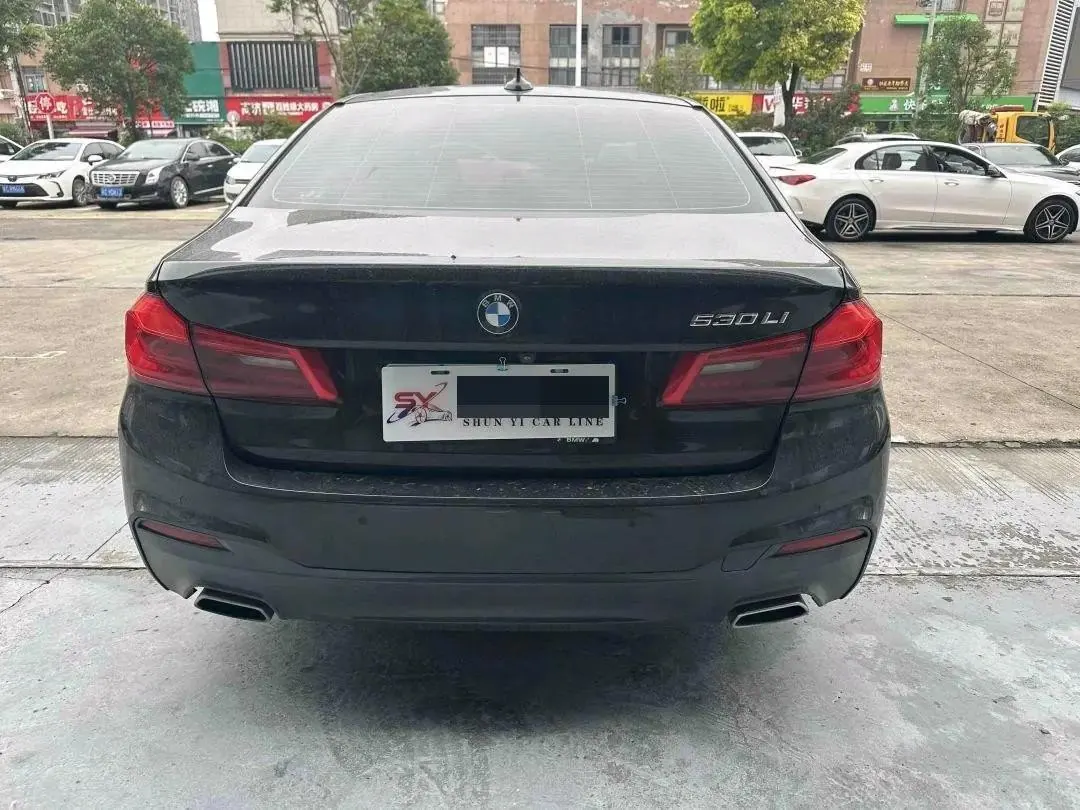BMW 5 Series 2020 530Li Leading M Sports Suit 4