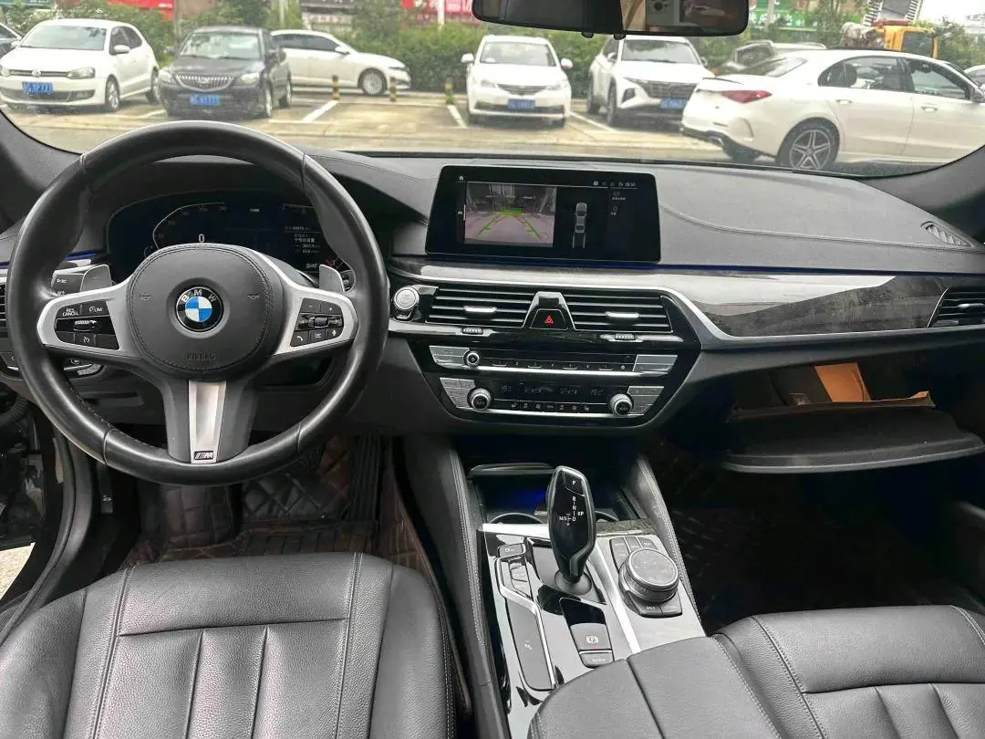 BMW 5 Series 2020 530Li Leading M Sports Suit 5