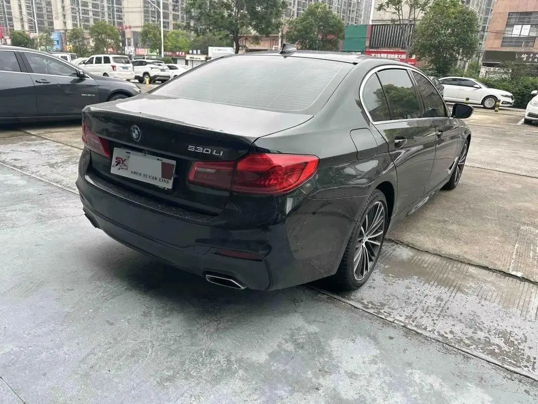 BMW 5 Series 2020 530Li Leading M Sports Suit 8