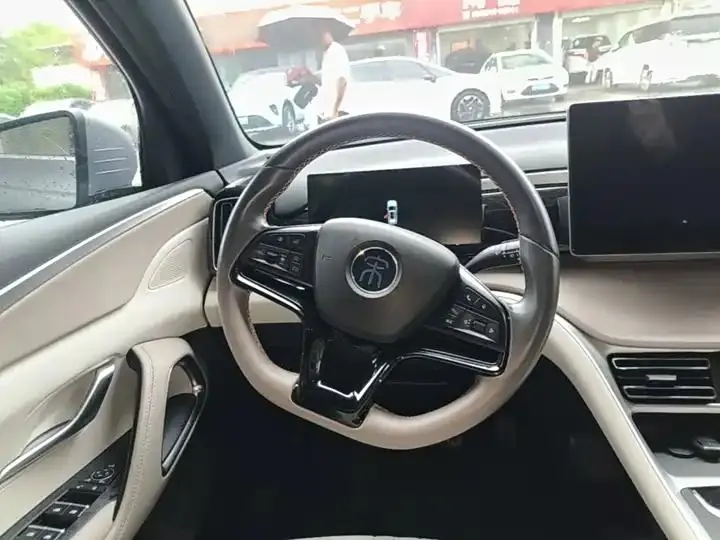 Song Pro New Energy 2024 Glory Edition DM-i 71KM Exceed 11