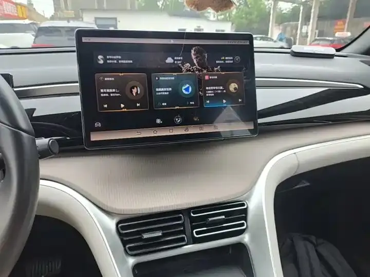 Song Pro New Energy 2024 Glory Edition DM-i 71KM Exceed 13