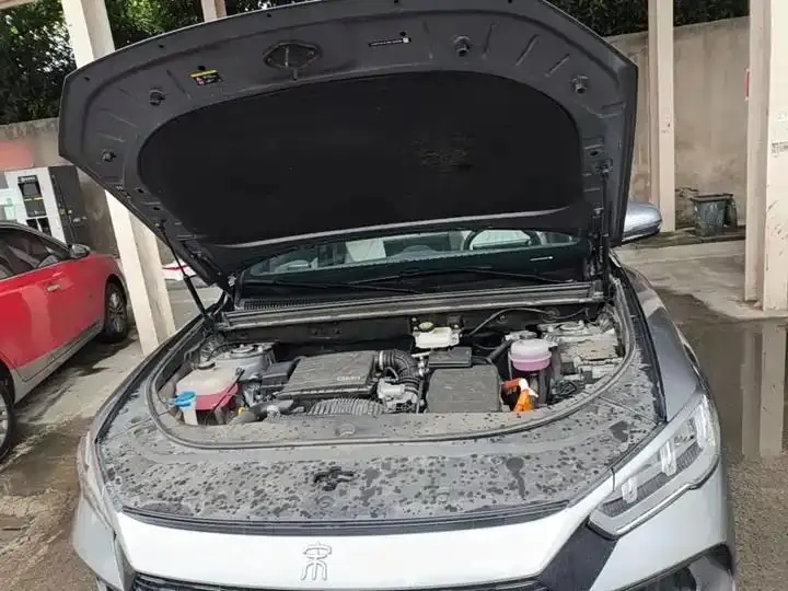 Song Pro New Energy 2024 Glory Edition DM-i 71KM Exceed 20