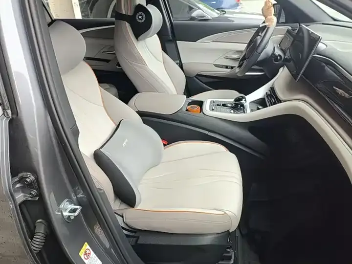 Song Pro New Energy 2024 Glory Edition DM-i 71KM Exceed 25