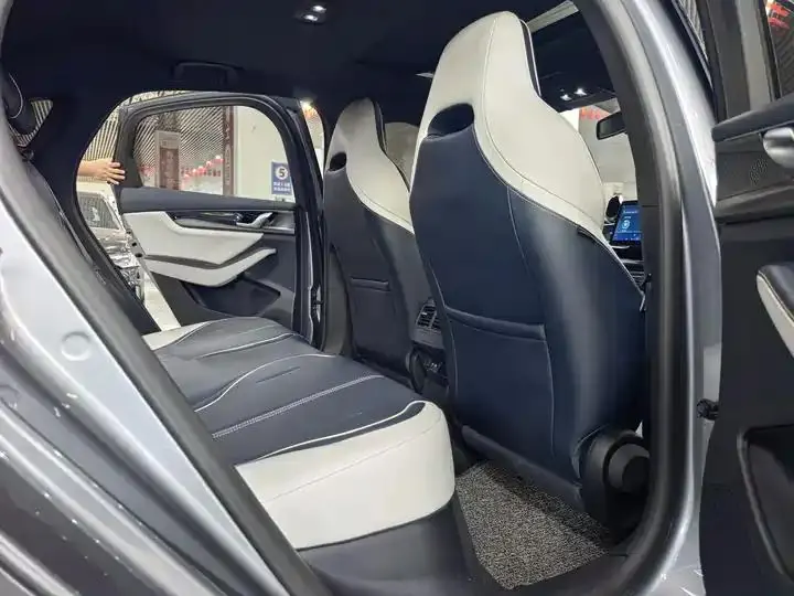 Qin PLUS 2021 DM-i 55KM flagship 12