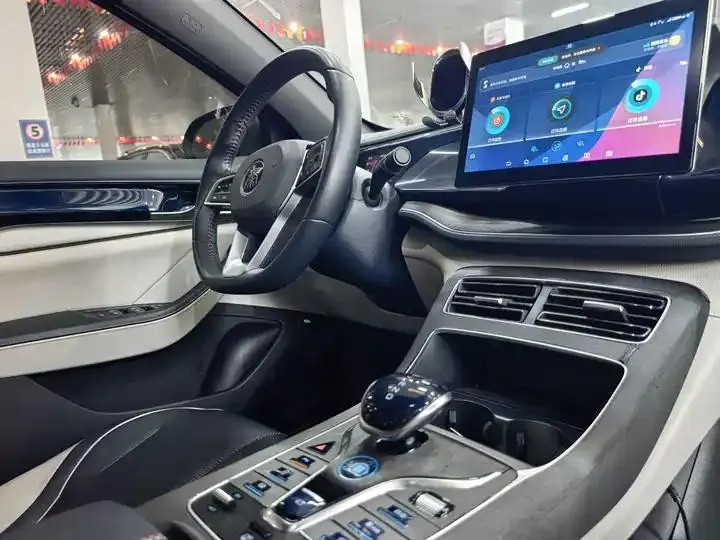 Qin PLUS 2021 DM-i 55KM flagship 16