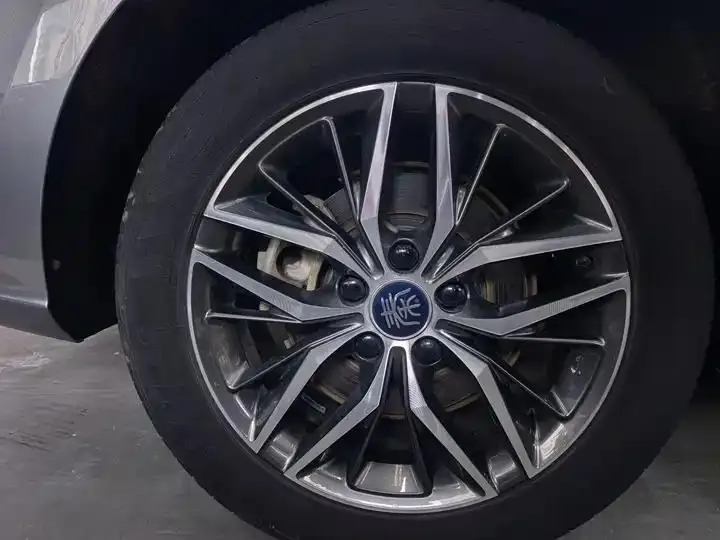 Qin PLUS 2021 DM-i 55KM flagship 18