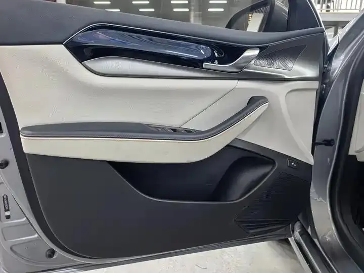 Qin PLUS 2021 DM-i 55KM flagship 5