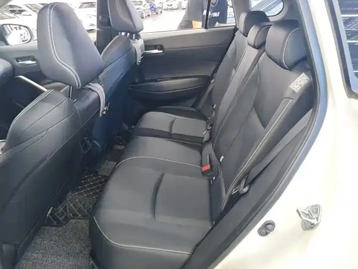 Fenglanda 2023, 2.0L CVT Luxury Edition 17