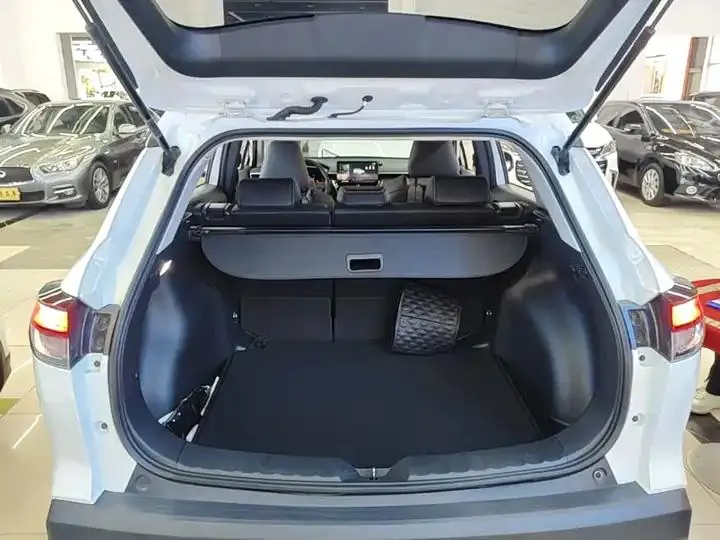 Fenglanda 2023, 2.0L CVT Luxury Edition 19