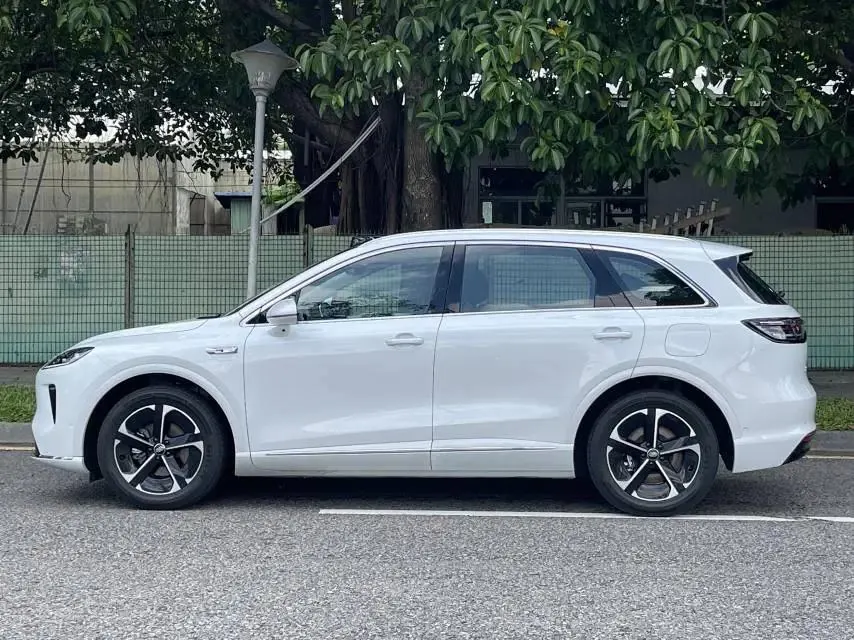 Shangjie H5 2025 Model Pure Electric Max 4