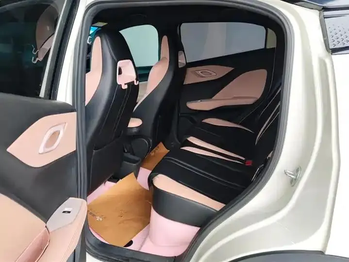 Seagull 2025 305km Free Edition 11