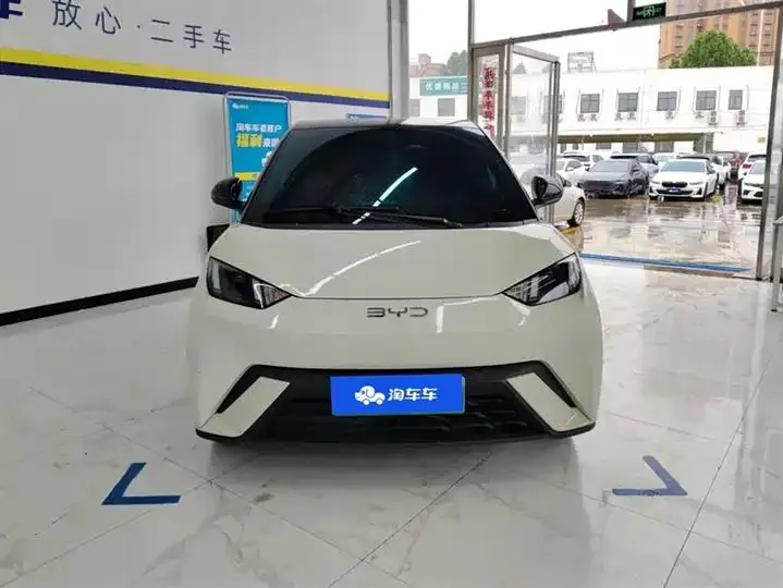 Seagull 2025 305km Free Edition 2