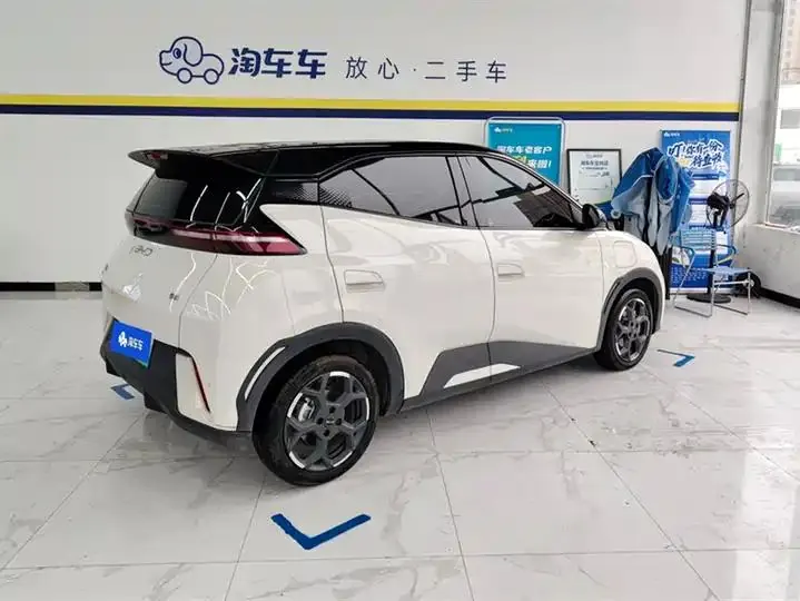 Seagull 2025 305km Free Edition 3