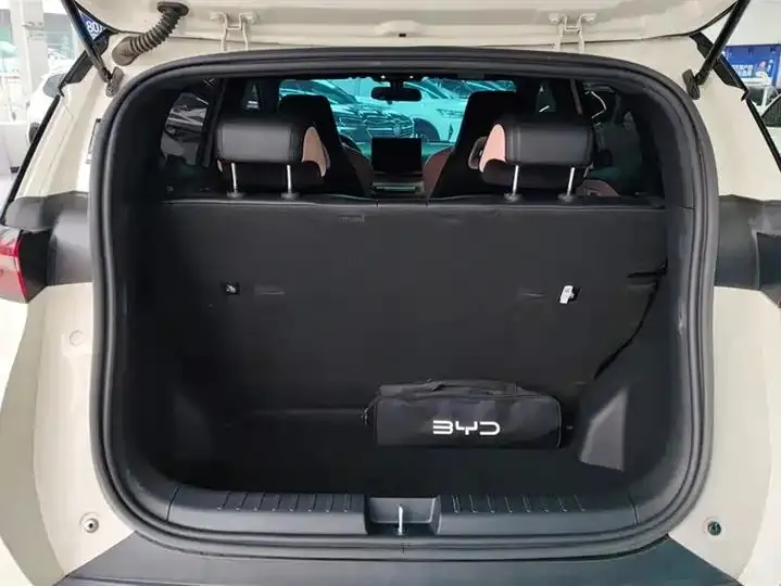 Seagull 2025 305km Free Edition 4