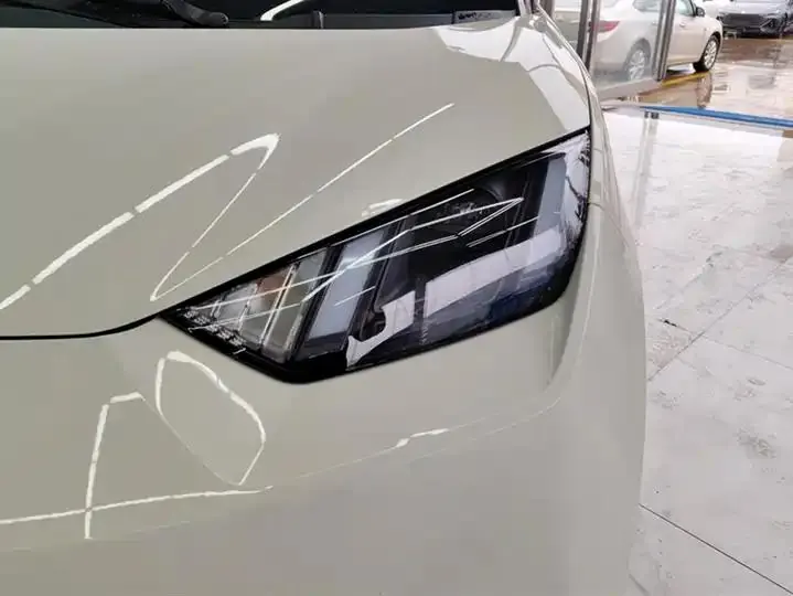 Seagull 2025 305km Free Edition 5