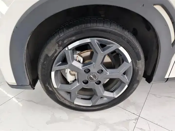 Seagull 2025 305km Free Edition 6