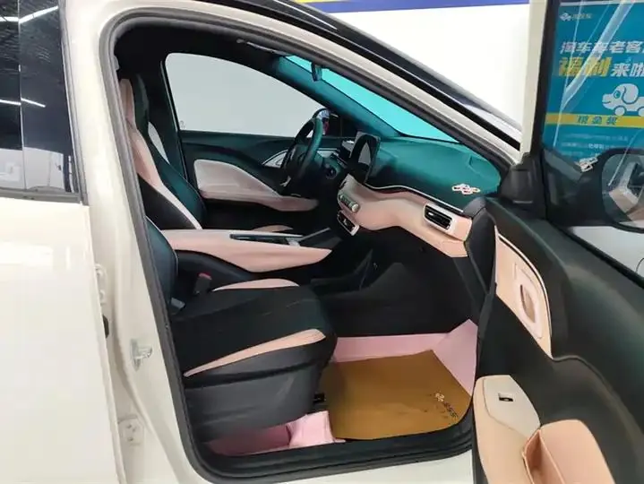 Seagull 2025 305km Free Edition 8