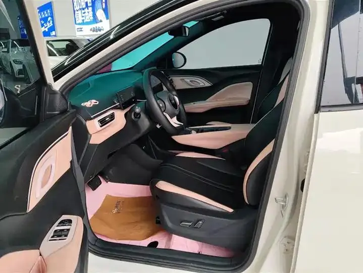 Seagull 2025 305km Free Edition 9