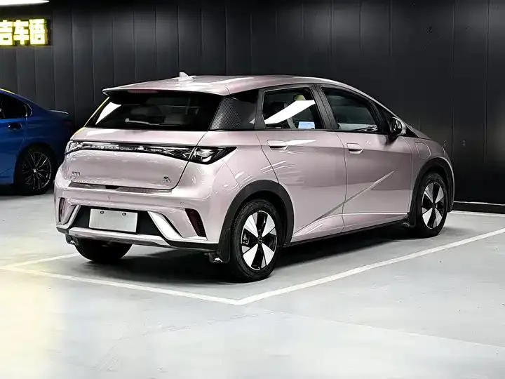 Dolphin 2023 420km Free Edition 16