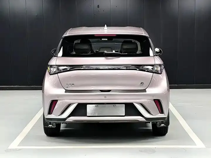 Dolphin 2023 420km Free Edition 17