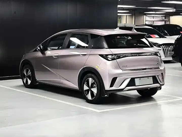 Dolphin 2023 420km Free Edition 18