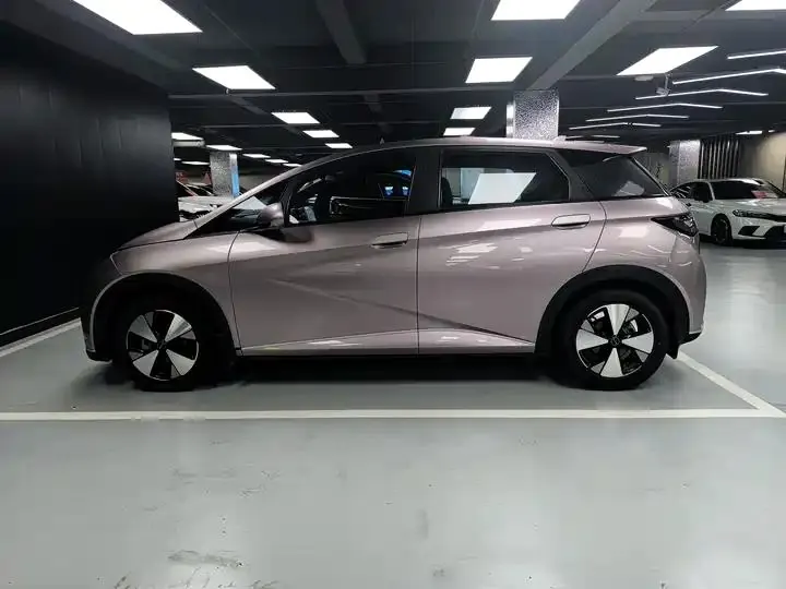 Dolphin 2023 420km Free Edition 19