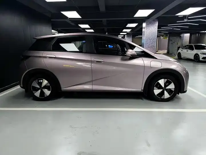 Dolphin 2023 420km Free Edition 4