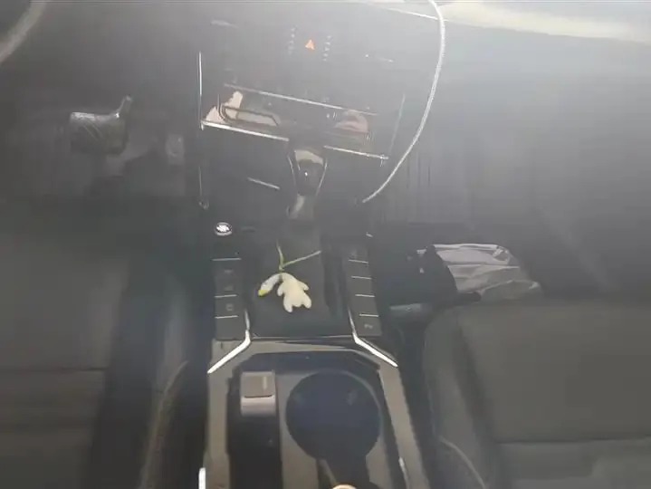 Passat 2020, 330TSI Elite Edition, China VI compliant 16