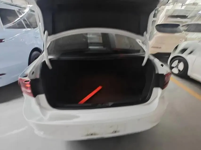 Ling Du 2019 230TSI DSG Fashion Edition National V 7
