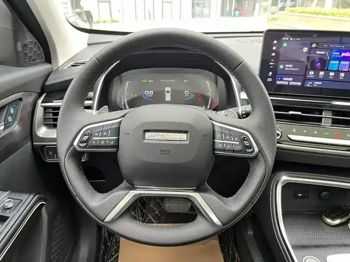 Haval H6 2023 National Tide Edition 1.5T Auto Champion Edition 11