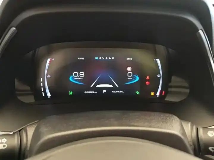 Haval H6 2023 National Tide Edition 1.5T Auto Champion Edition 12