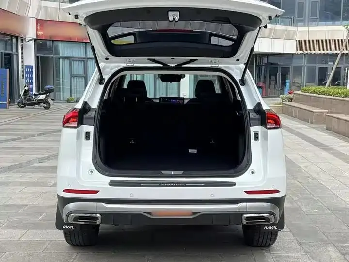 Haval H6 2023 National Tide Edition 1.5T Auto Champion Edition 19