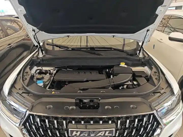 Haval H6 2023 National Tide Edition 1.5T Auto Champion Edition 20