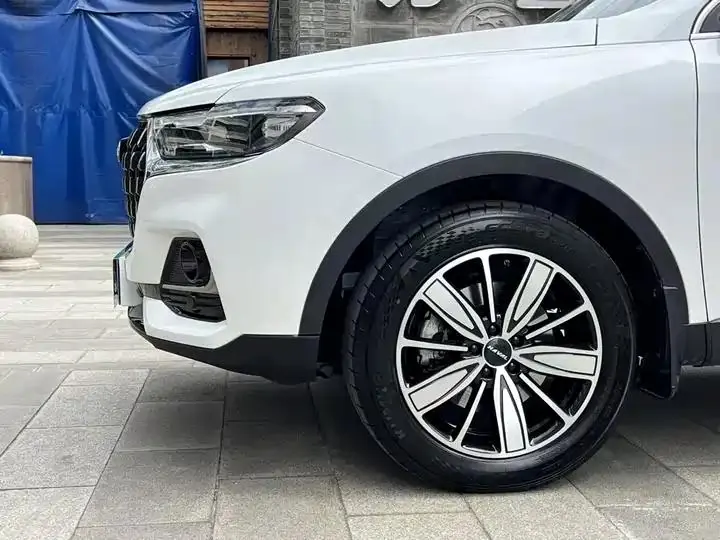 Haval H6 2023 National Tide Edition 1.5T Auto Champion Edition 23