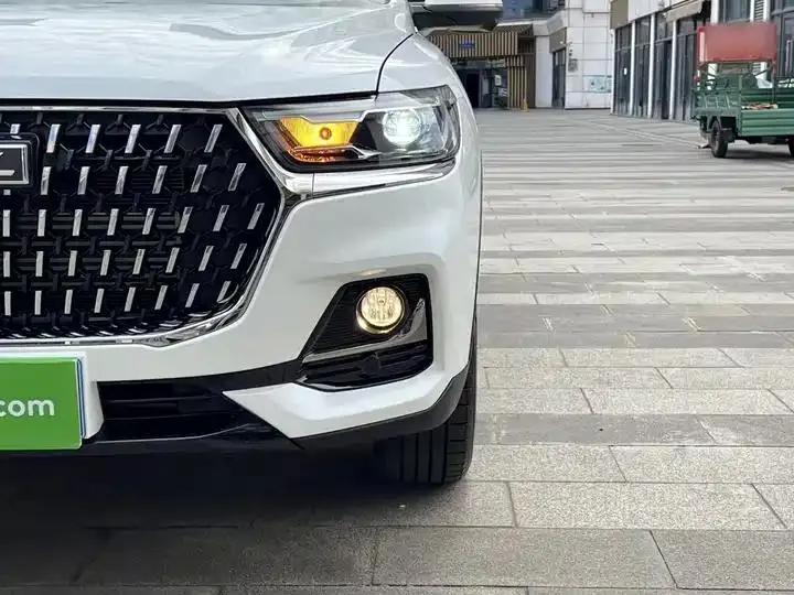 Haval H6 2023 National Tide Edition 1.5T Auto Champion Edition 24