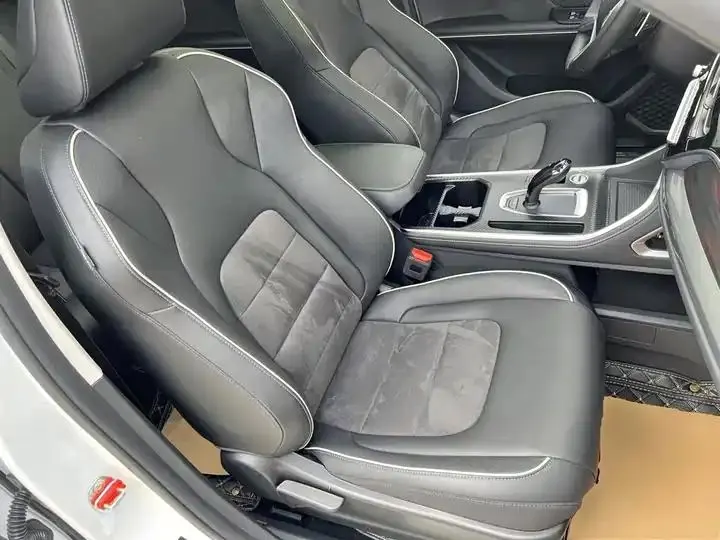 Haval H6 2023 National Tide Edition 1.5T Auto Champion Edition 25