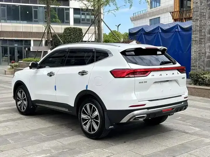 Haval H6 2023 National Tide Edition 1.5T Auto Champion Edition 5