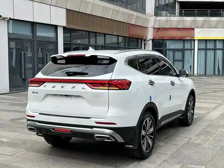 Haval H6 2023 National Tide Edition 1.5T Auto Champion Edition 7
